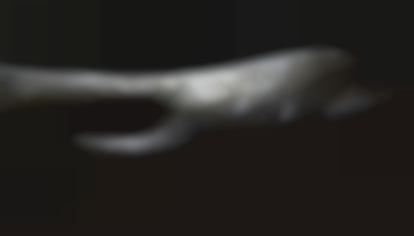 Ce qu'il faut pour un bon habitat